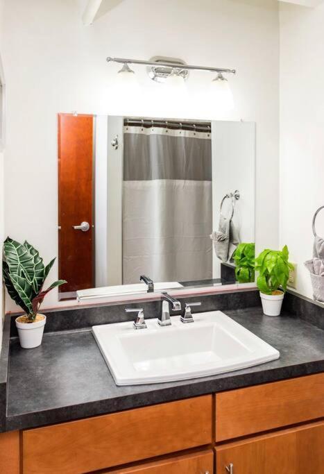 Centric Modern Loft W/ King Beds Apartment Rochester Exterior photo
